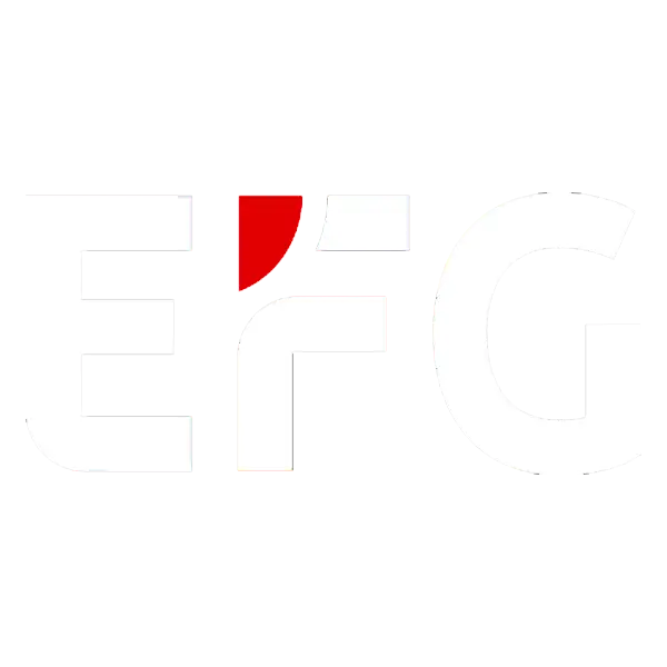 Home 17 EFG icon